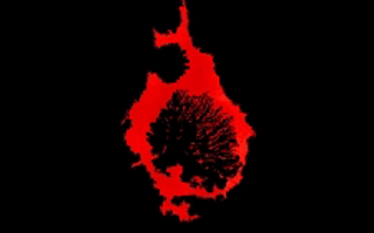 C.Diab Releases Exit Rumination