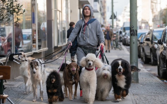 WUFF mit Score von Bowen Liu