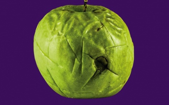 Zeal & Ardor veröffentlichen neue Single “Gravedigger’s Chant” und kündigen zweites Album "Stranger Fruit" an