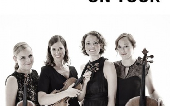 Salut Salon à L'Olympia