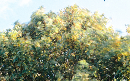 Node Records releases Rachel Portman's new single