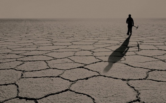 Salero OST Available Now