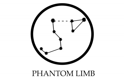 New Signings To Phantom Limb