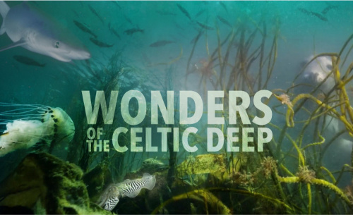 BBC's Wonders of the Celtic Deep soundtrack by Paul Mealor