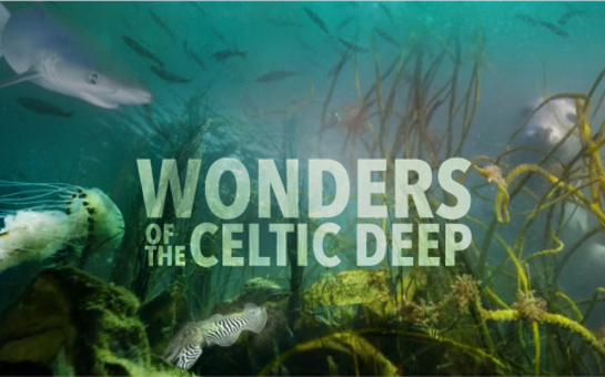BBC's Wonders of the Celtic Deep soundtrack by Paul Mealor