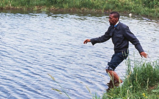 The fantastic LA-based group Wild Up just released a second Eastman recording