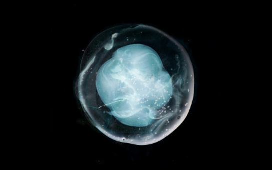 A Winged Victory for the Sullen's new album receives praise