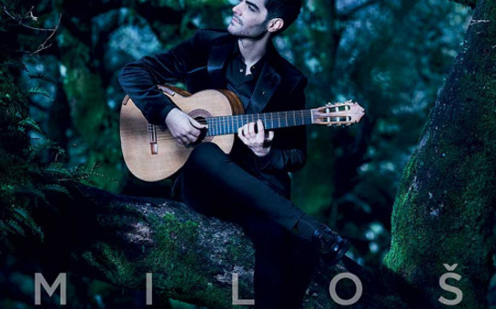 MILOŠ Releases 'The Moon & The Forest'