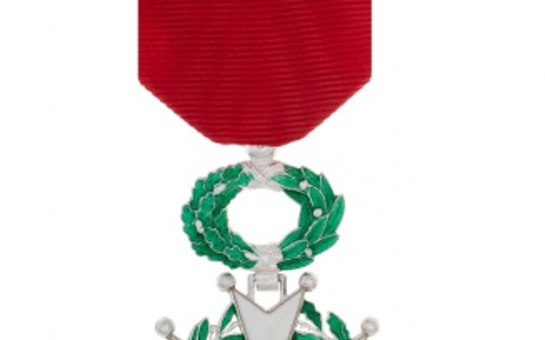 Une médaille pour Brigitte Fontaine