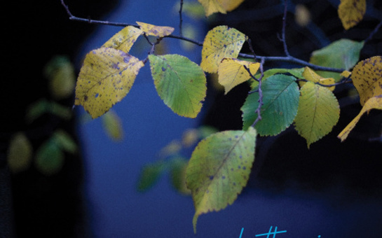 Rachel Portman Announces Up-coming Album