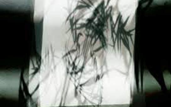 Dylan Henner Releases Stormbird Brother In The Dusk EP