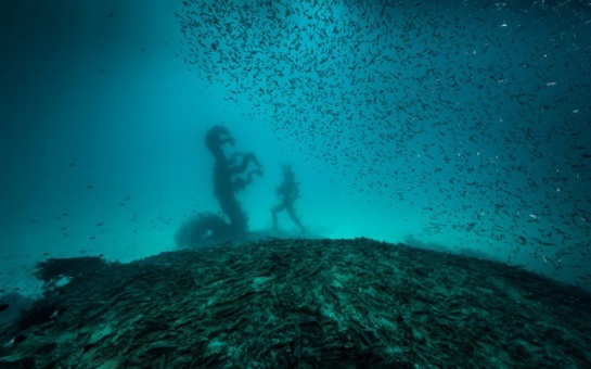 Anne Nikitin Scores New Damien Hirst Exhibition